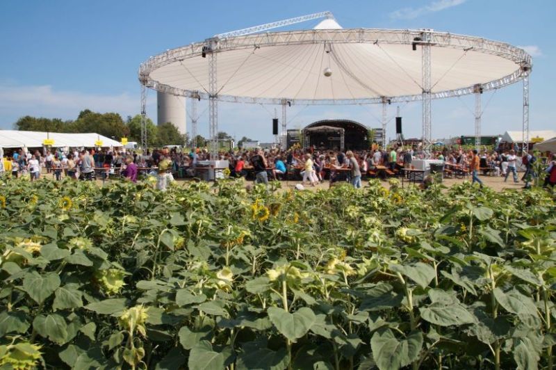 Foto "Goldgelb-Festival"